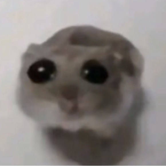 jasethefazz644